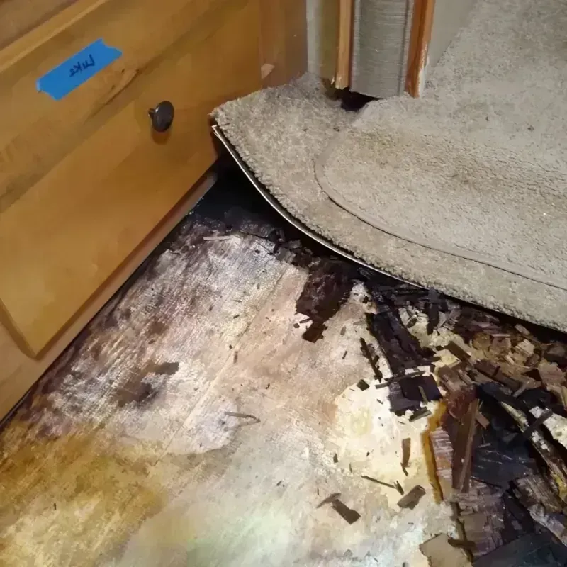 Wood Floor Water Damage in Paulden, AZ